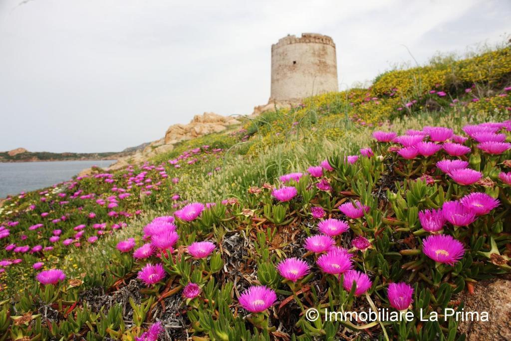 Appartamenti Ideal Isola Rossa Luaran gambar