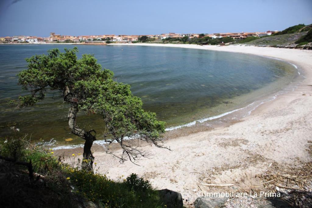 Appartamenti Ideal Isola Rossa Luaran gambar